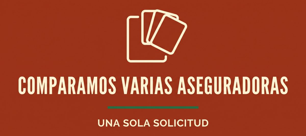 Comparamos varias aseguradoras con una sola solicitud